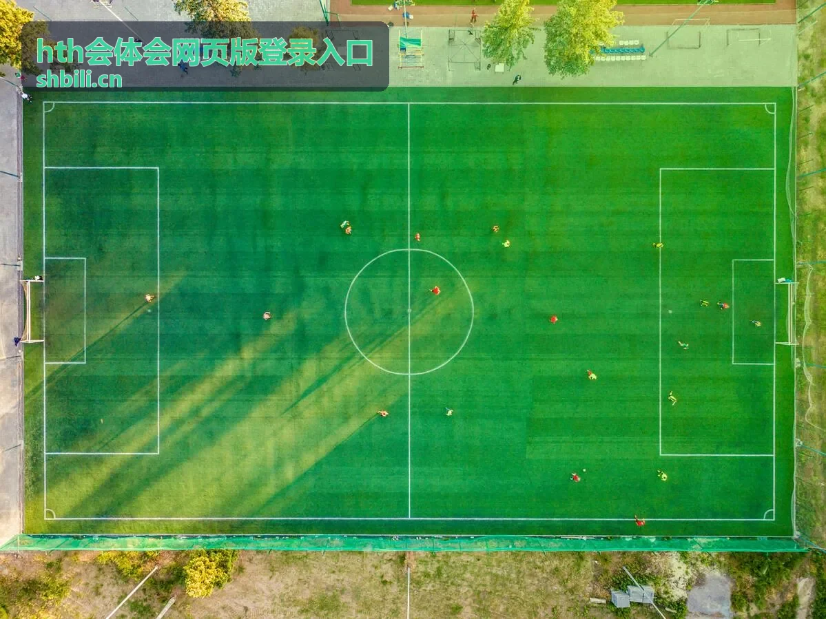 hth会体会网页版登录入口登录步骤速览卡片封面